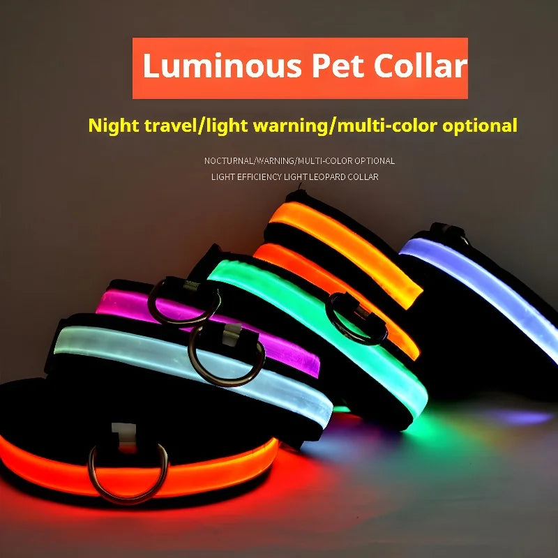 Collar de Perro con Luz LED para Paseos Nocturnos