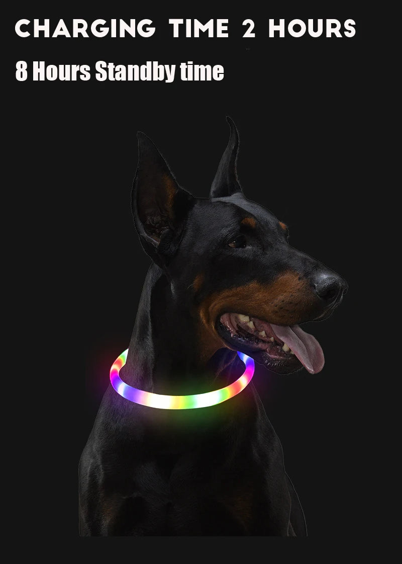 Collar LED para Perros Recargable con Luz Nocturna