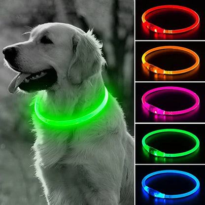 Collar LED para Perros Recargable con Luz Nocturna