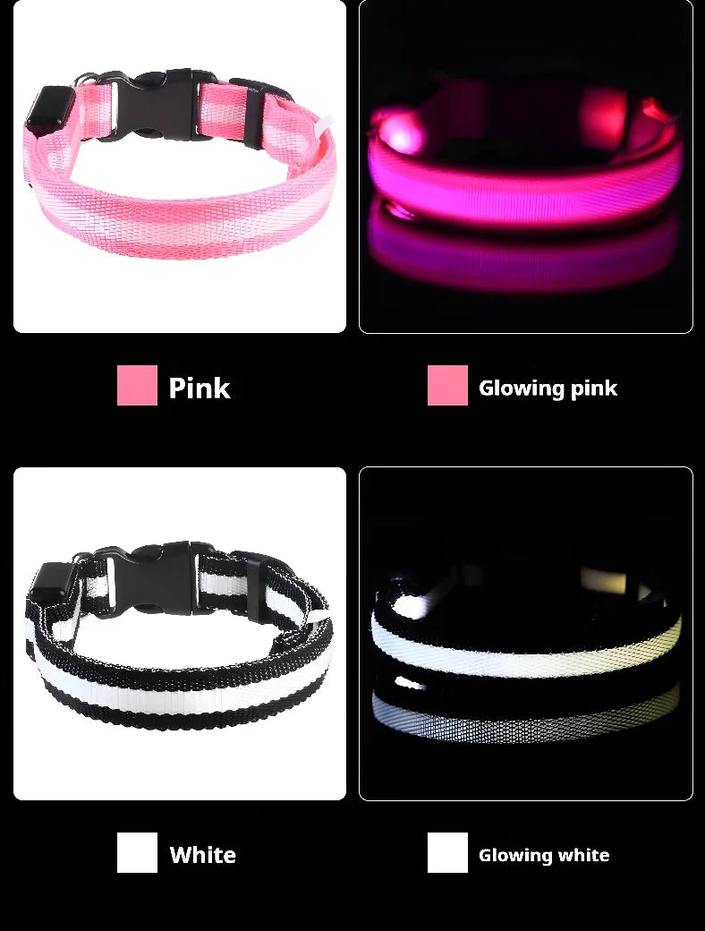 Collar de Perro con Luz LED para Paseos Nocturnos