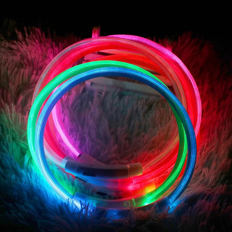 Collar LED para Perros Recargable con Luz Nocturna