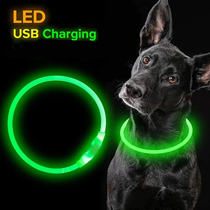 Collar LED para Perros Recargable con Luz Nocturna