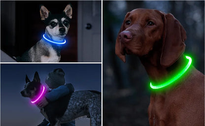 Collar LED para Perros Recargable con Luz Nocturna