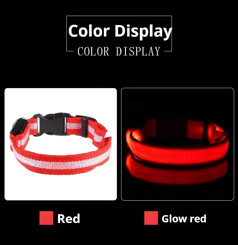 Collar de Perro con Luz LED para Paseos Nocturnos