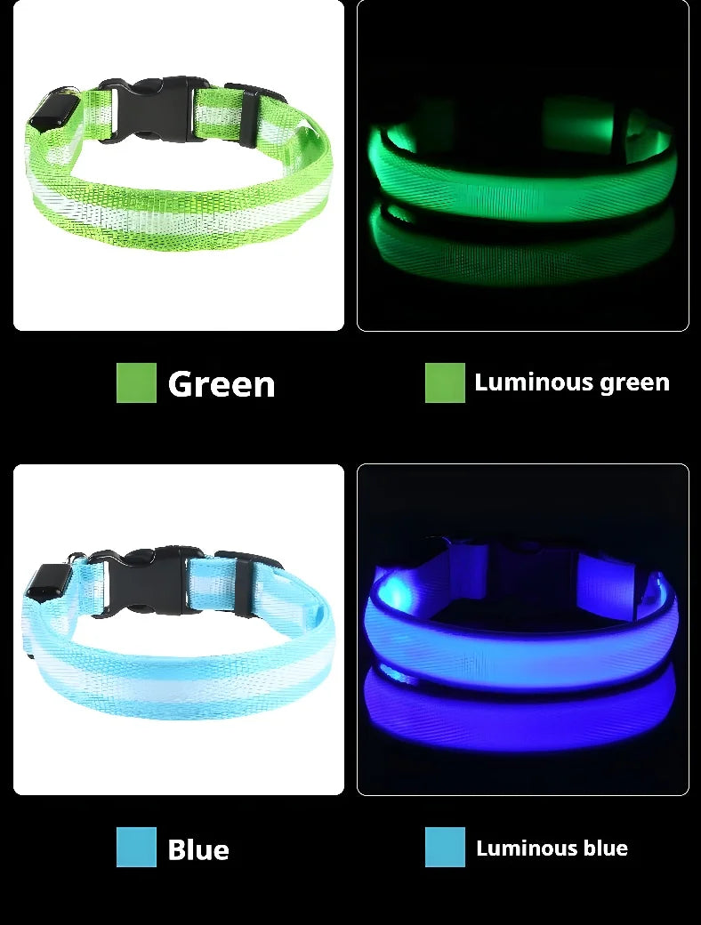 Collar de Perro con Luz LED para Paseos Nocturnos