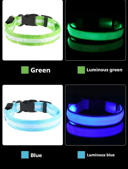 Collar de Perro con Luz LED para Paseos Nocturnos