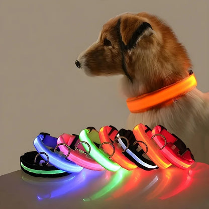 Collar de Perro con Luz LED para Paseos Nocturnos