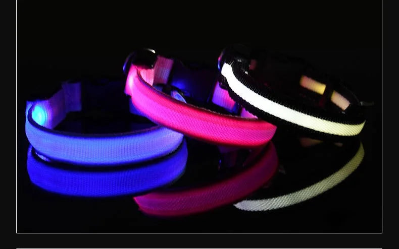 Collar de Perro con Luz LED para Paseos Nocturnos