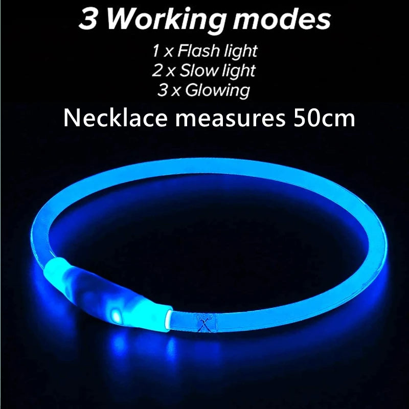 Collar LED para Perros Recargable con Luz Nocturna