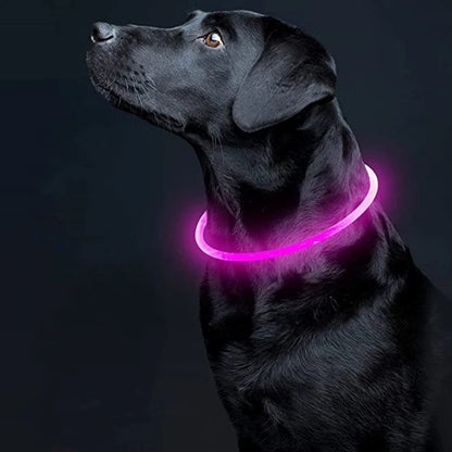 Collar LED para Perros Recargable con Luz Nocturna